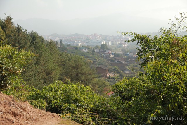 да хун пао уишань у и шань китай чай уишаньс��ие улуны природа улун пуэр