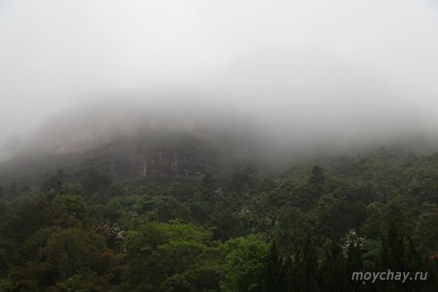 да хун пао уишань у и шань китай чай уишаньские улуны природа улун пуэр