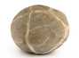 Декоративная окаменелость # 37021 камень септарии